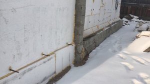 Прогрызают ли полистиролбетон мыши (грызуны)?!