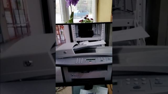 Тест лазерного мфу нр Laserjet 3051