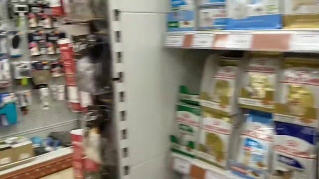 У Тоси сегодня день рождения- моей малышке 2 года, идём покупать подарок в "ЧЕТЫРЕ ЛАПЫ"??Сапожки ! смотреть онлайн