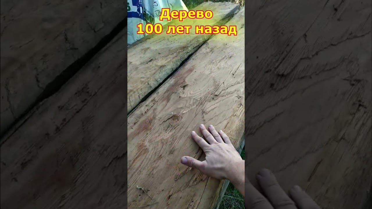 Куда делись большие деревья? смотреть онлайн