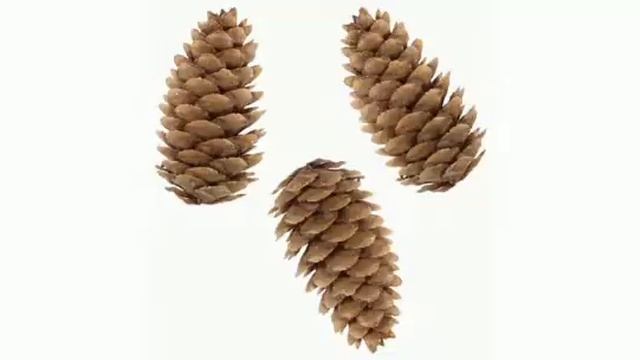 Как сделать легко ёжика своими руками. смотреть онлайн