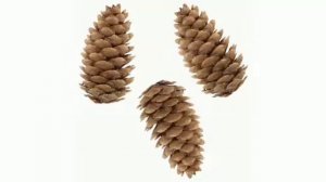 Как сделать легко ёжика своими руками.