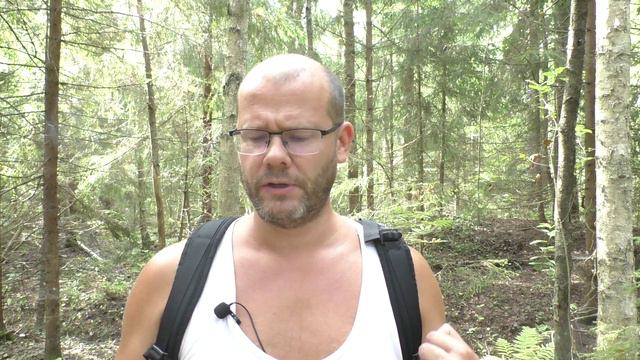 Шекспир сонет 148