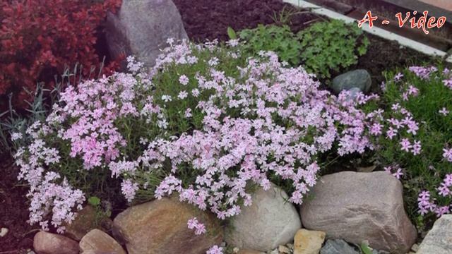 ?Прекрасные примеры садового дизайна / Original Garden Compositions / A - Video