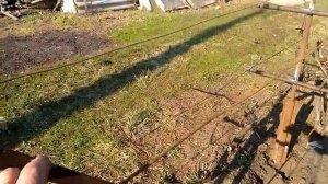 Забор из винограда