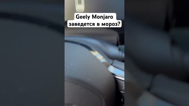 GEELY Monjaro заведется в мороз? Всю ночь температура была ниже -40. #geely #monjaro #автоподбор