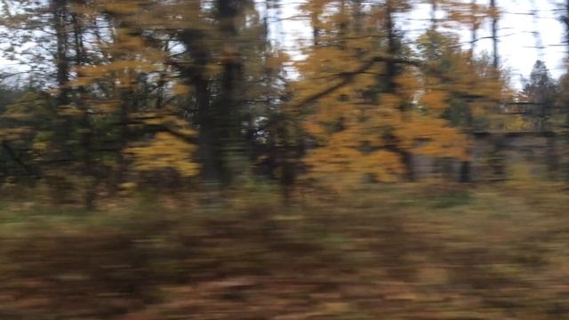 Электричка. "Пионерский курорт" - Светлогорск". смотреть онлайн