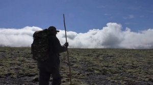 Дороги мои, дороги....