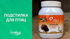 Вся правда о глубокой подстилке для  домашних птиц.