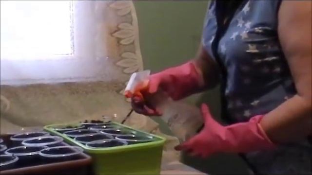 посадка семян табака смотреть онлайн