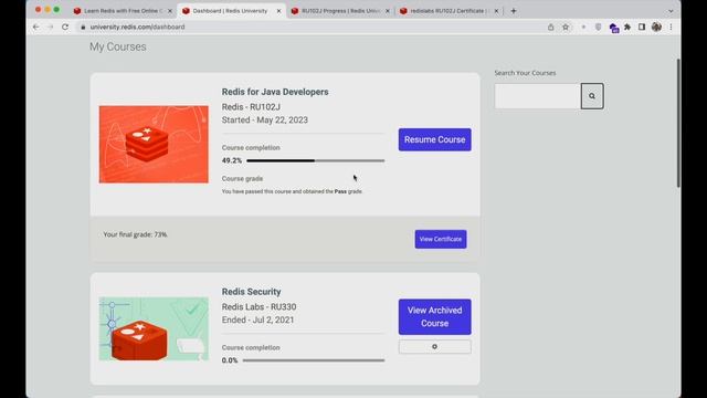 Earn Redis Certificate in Less Than 30 Days | Redis for Java Developer смотреть онлайн