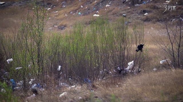 Унесённые ветром смотреть онлайн