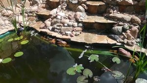 Пруд с водопадом своими руками