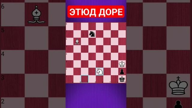 ?ПРОВЕРЬ СВОЙ СЧЕТ! #shorts #chess #шахматы #chesspuzzle #шахматныезадачи