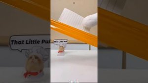 Cats make food 2023"That Little Puff" Tiktok Compilation #1