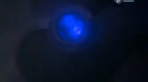 Сила укуса большого белого медведя 800кгс=1763lbf