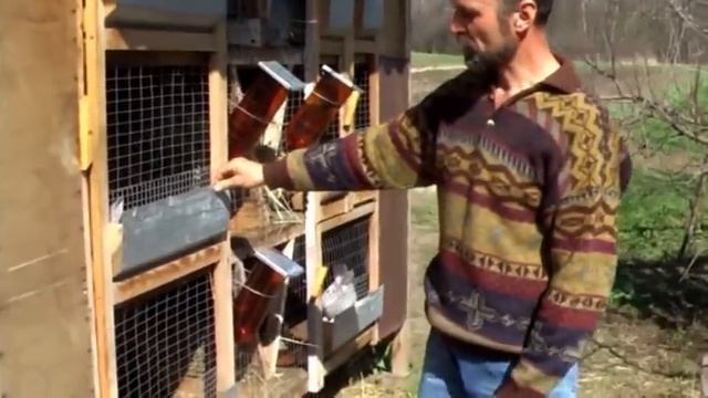 Простое содержание кроликов в клетке Н.И.  Золотухина (Часть 1 из 3)