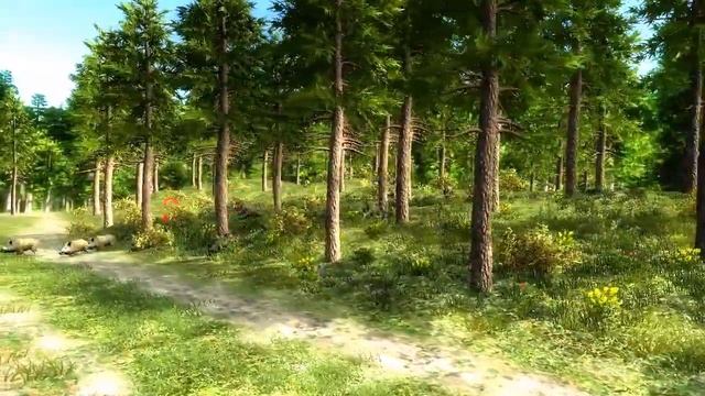 Охота на кабанов смотреть онлайн