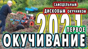 Первое окучивание 2021 самодельным дисковым окучником.