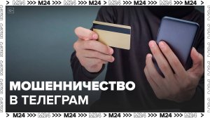 Новый вид мошенничества появился в Telegram после ареста Павла Дурова - Москва 24
