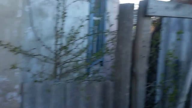 Новые улья рут 230 смотреть онлайн