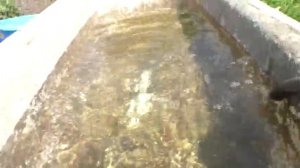 Как нагреть воду быстрее в ванной для полива How to heat water faster in a watering bathtub