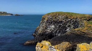 Северная Ирландия - Белфаст, Тропа Гигантов