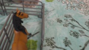 сериал с лошадьми Шляйх  Путь домой серия 1 . мультик с игрушками