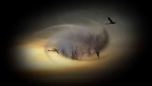 Посвящение другу Песня на стихи Николая Рубцова