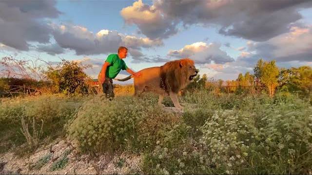 Друзья , у нас МИЛЛИОН ПОДПИСЧИКОВ в Китае !!!