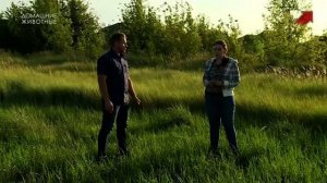 Смена логотипа на новогодний Домашние животные (27.12.2022)