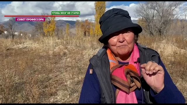 Не сидите сложа руки смотреть онлайн