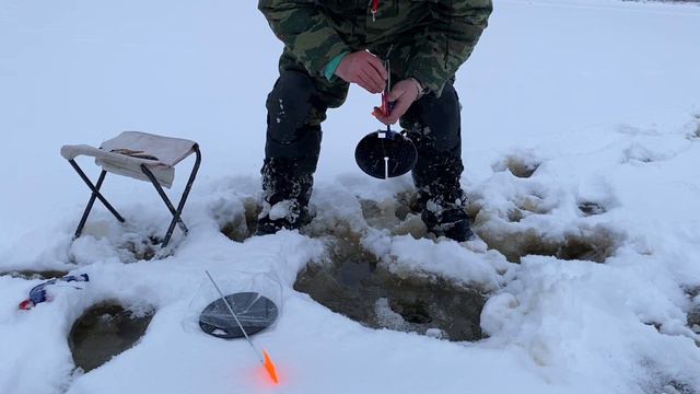 Жерлица. Рыбалка на Первый Лёд [Окунь, Щука]. Ловля живцов для Жерлиц.