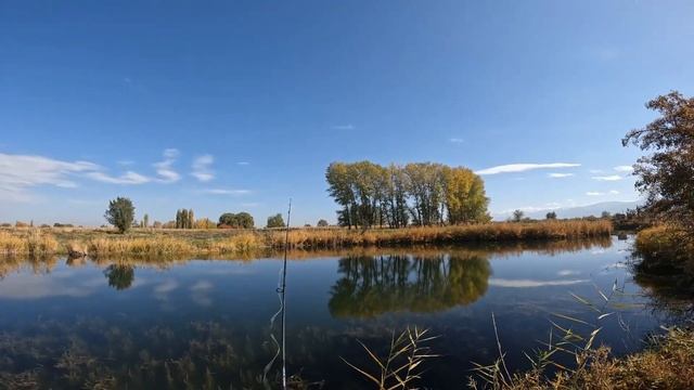 Ааа что творится!? Море ЩУКИ, куча ГРИБОВ. Эта вертушка КОСИТ рыбу смотреть онлайн