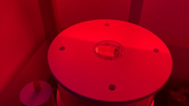 Побывали в Ecoreef. Как устроена фильтрация в аквариумах. И про атмосферу :)