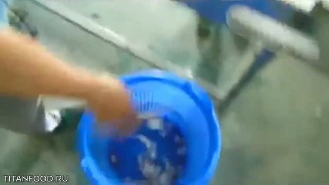 Установка для очистки чеснока Titan FX-128 смотреть онлайн
