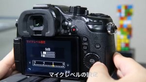 Panasonic LUMIX DMC-GH4 SETUP