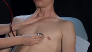 Учебный осмотр пациента: сердце