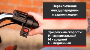 Электрический трицикл для перевозки пассажиров Rutrike Рикша