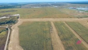 Крупнейшее Стадо Ангусов в мире