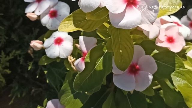 29 ноября народный праздник Матвеев День. Что нельзя делать 29 ноября. Народные традиции и приметы.