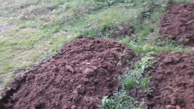 Кривые Крестики/вышиваю каждый день. День4 смотреть онлайн