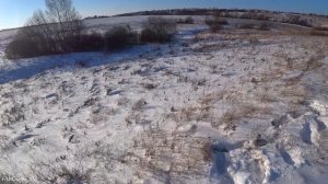 КРАСИВЫЕ МОМЕНТЫ С ОХОТЫ НА ЗАЙЦА за 15 минут! Охота на зайца зимой троплением по снегу.