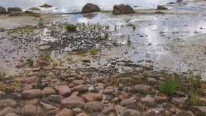 Отдыхаем на Белом море. 1 часть в посёлке Нижняя Пулонга . 2 часть мыс Пурнаволок бывшая база ВМФ