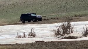 ЧТО ПОСМОТРЕТЬ НА МАРСОВЫХ ПОЛЯХ В ГОРНОМ АЛТАЕ?