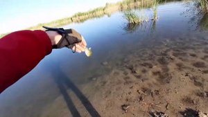 Ловля на неогруженый силикон. Любимая приманка окуня.