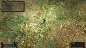 S.T.A.L.K.E.R.   Дневник Призрака на Агропроме для Круглова