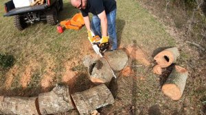 #73 Cutting next years firewood, Stihl MS260 PRO