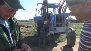 Посадка кортофеля под плуг.Пашет МТЗ-80