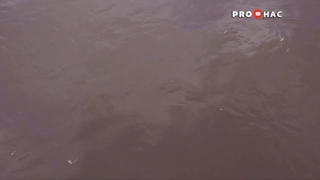 Миасс- река, на которой в 18 веке вырос наш родной Челябинск смотреть онлайн